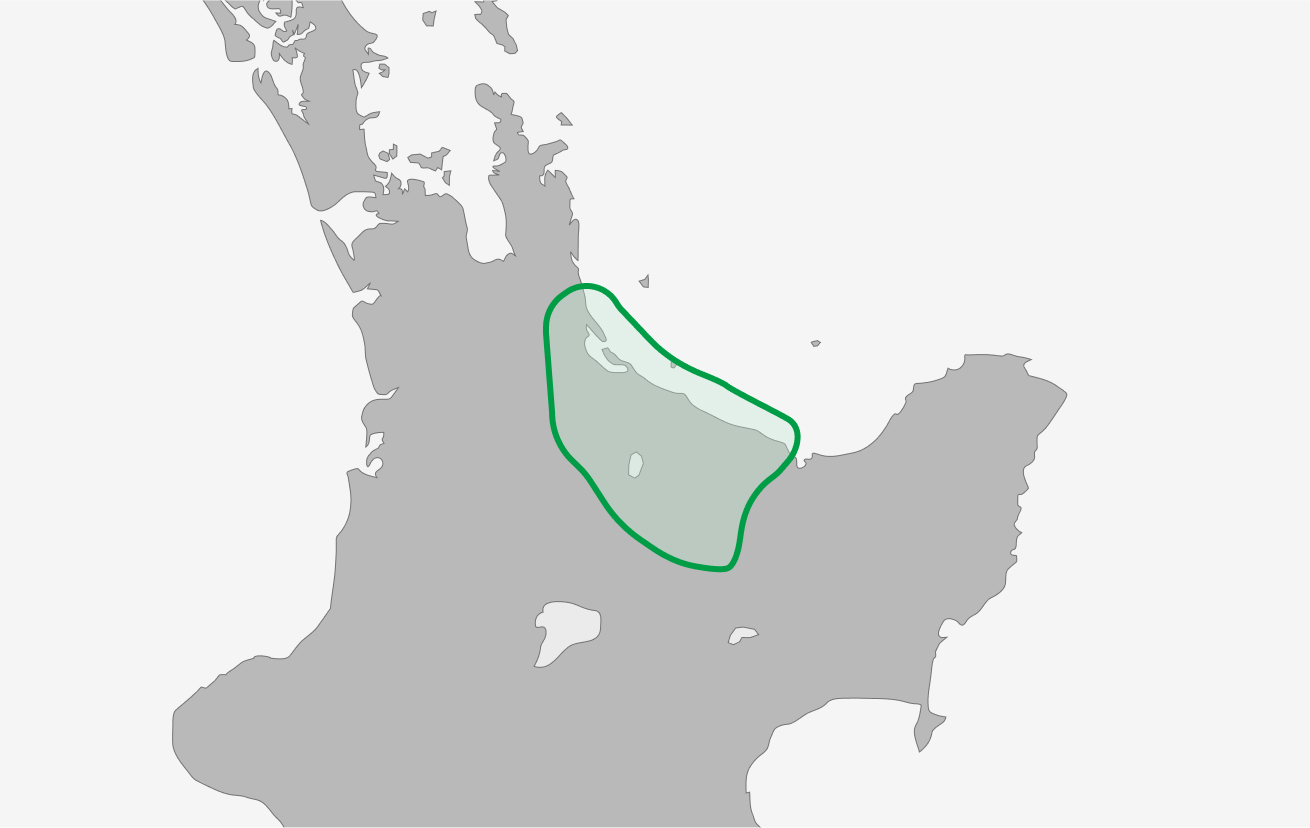 Tauranga
