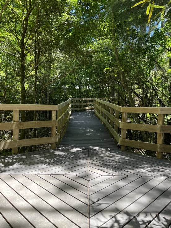 Boardwalk steps in BiForm FOREST Brown at Parry Kauri Park