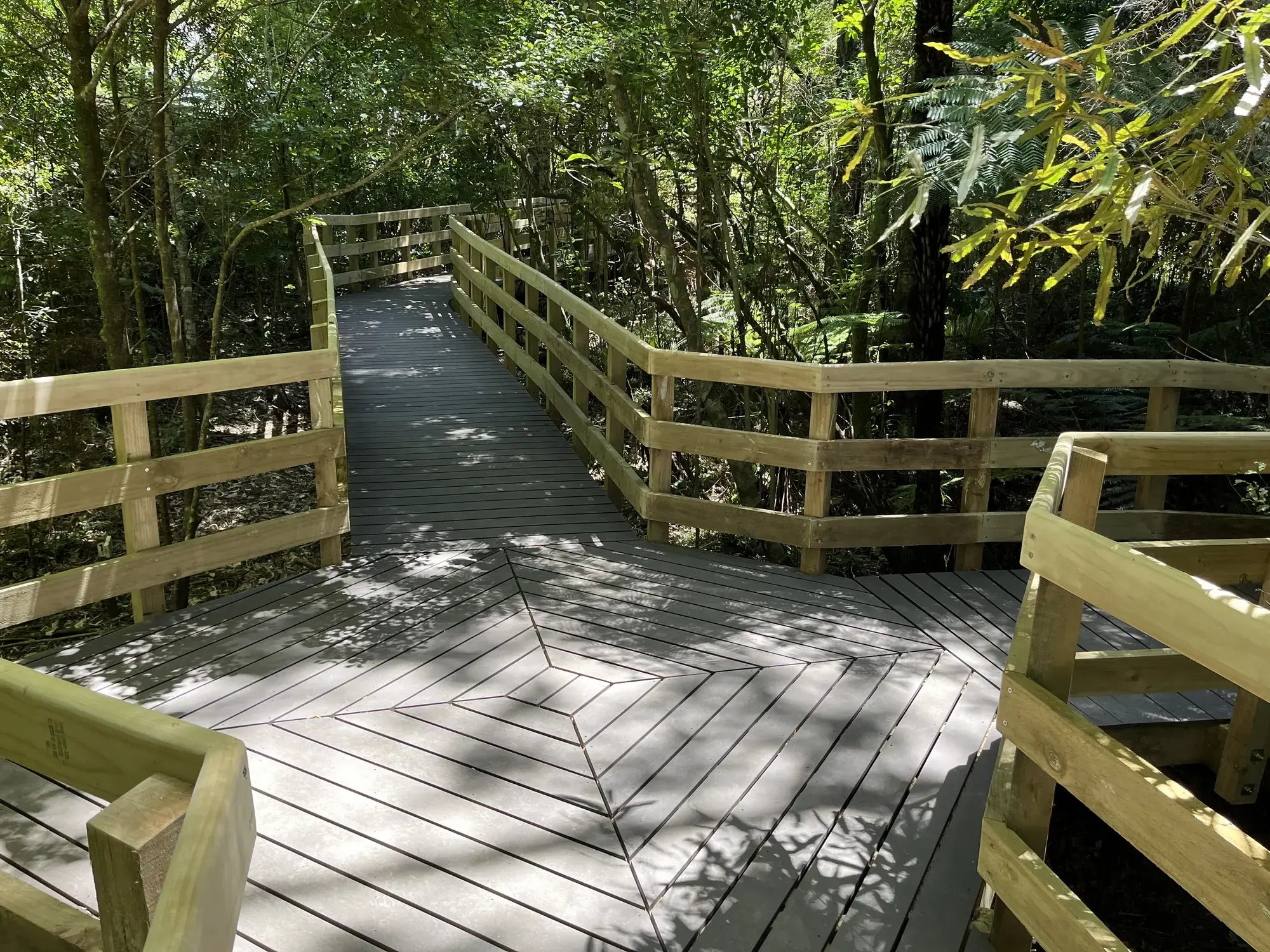 csm_FOREST_Brown-_Parry_Kauri_Park__3__ca4bf4d71c