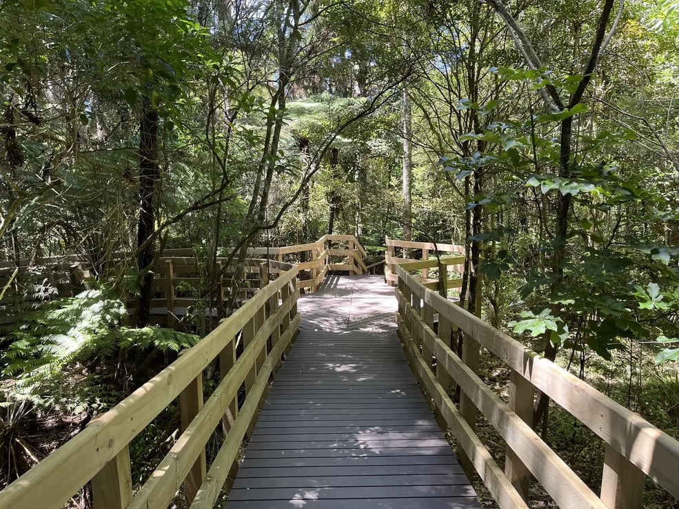 BiForm FOREST Brown composite boardwalk running through native Kauri at Parry Kauri Park, Warkworth