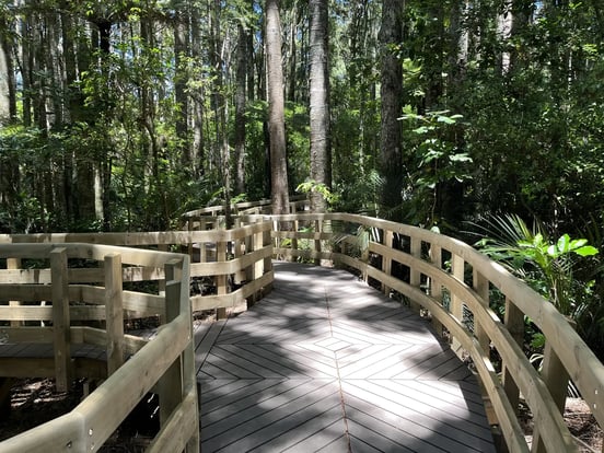 Composite boardwalk decking laid through bush at Parry Kauri Park