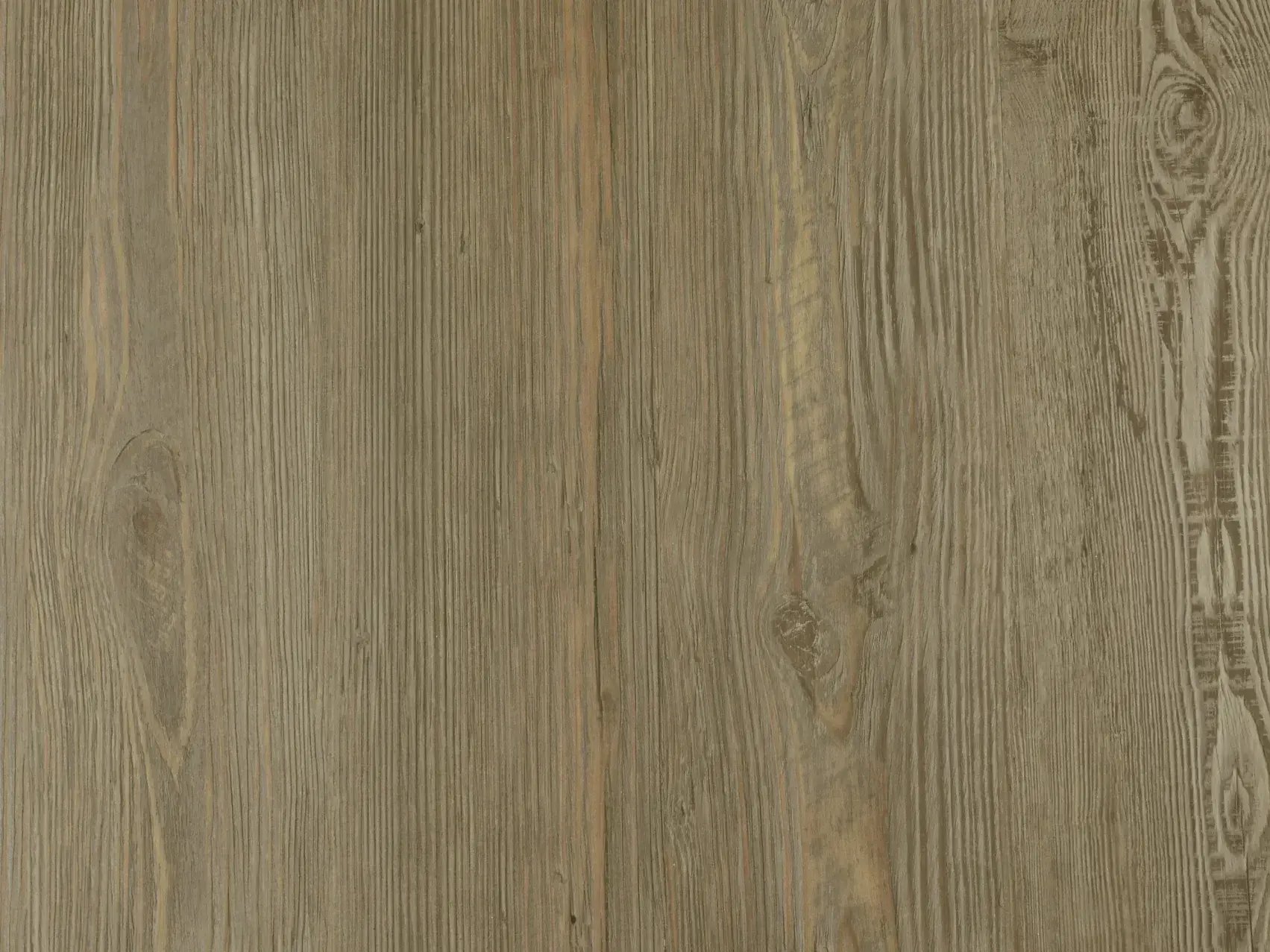 csm_grey_pine_f518e1da3d